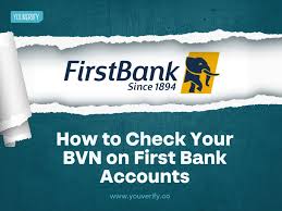 How to check First bank BVN code 2023