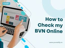 How to check First bank BVN code 2023